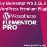 Elementor Pro 3.16.2- Supercharge Your Website With Elementor Pro WordPress Premium Plugin