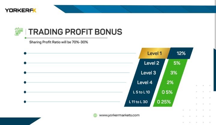 Trading-Profit-Bonus-Botpro What Is BotBro? Learn In Detail -Honest Review 2024