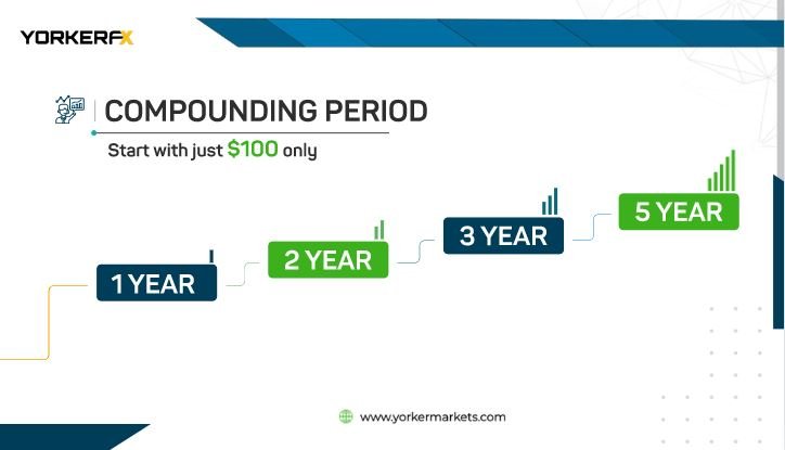 compounding-period-botpro What Is BotBro? Learn In Detail -Honest Review 2024