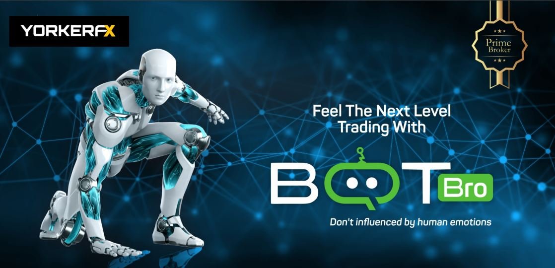 What Is BotBro? Learn In Detail -Honest Review 2024